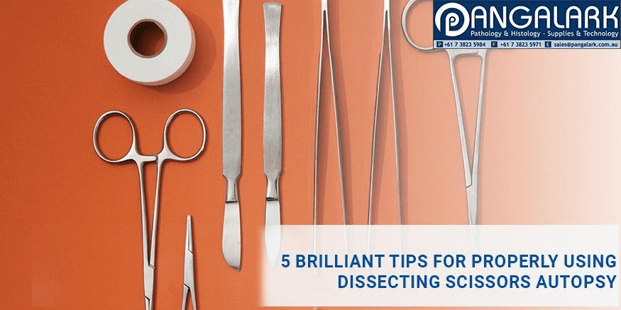 5 Brilliant Tips for Properly Using Dissecting Scissors Autopsy